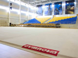 Zhemchuzhina rhythmic gymnastics centre St. Petersburg, Russia