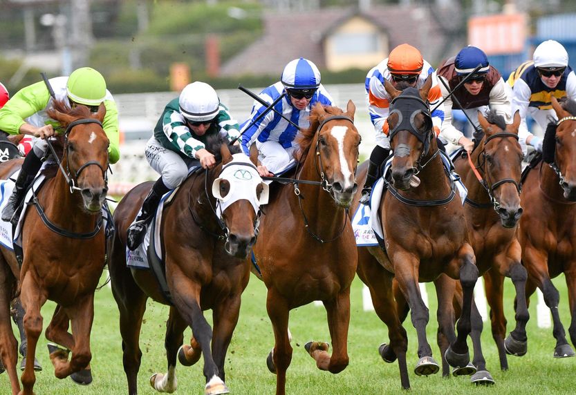 The project of the Swiss Timing system horse racing system supply is successfully completed
