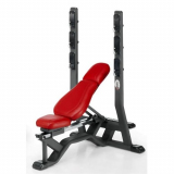 Triple adjustable bench