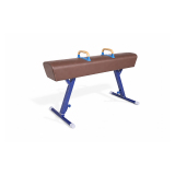 Gymnastic Pommel Horse