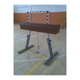 Gymnastic Pommel Horse