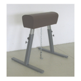 Gym buck, with leather cover