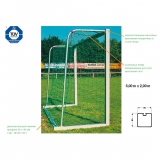 Junior soccer goals