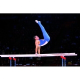 Competition parallel bars, FIG approved