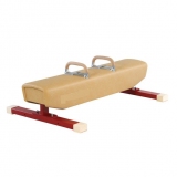 Low pommel horse