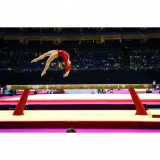 Competition beam - FIG approved