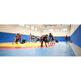 Wrestling Mats Team 4х4 m