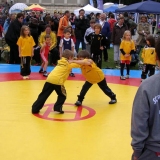 Wrestling Mats School 4x4 m