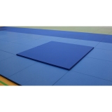 Judo Throwing Mat Impact