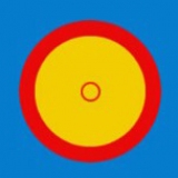 Sambo Competition Mats Cover - FIAS approved