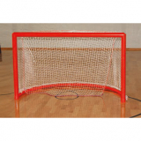 Goals for roller hockey