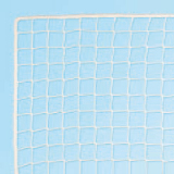 Net for roller hockey