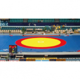 Wrestling and greek-roman wrestling mat