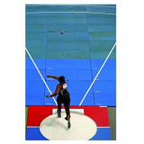 Indoor shot put throwing landing system