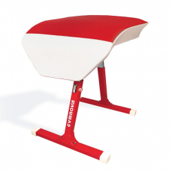 Team'gym training vaulting table AVGY1240