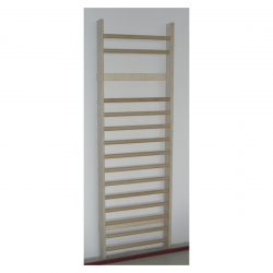Swedish Wall Bars AVMS10002