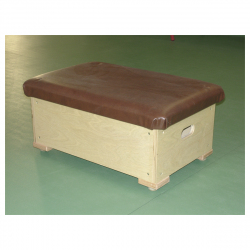 Small vaulting box AVMS10011a