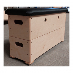 Gymnastic Vault for Kindergartens AVMS10015