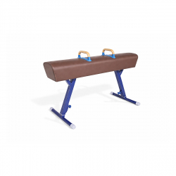 Gymnastic Pommel Horse AVMS10036