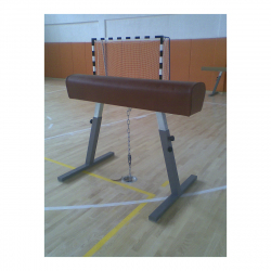Gymnastic Pommel Horse AVMS10039