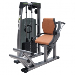 SITTING CALF 1800 sitting-calf-1800