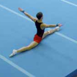 Training floor exercise area training-floor-exercise-area