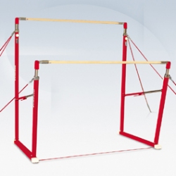 Training asymmetric bars training-asymmetric-bars