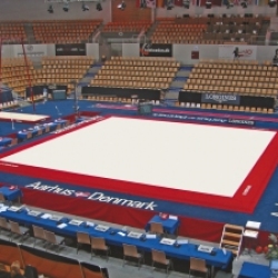 Competition exercise floor with overlay carpet - 14x14 m - FIG approved AVGY1001