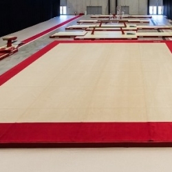 Carpet only for competition exercise floor - 14x14 m - FIG approved AVGY1003