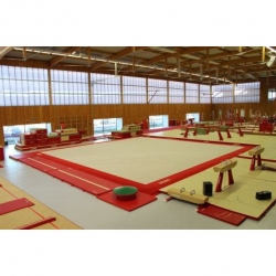 Training exercise floor with overlay carpet - 13.05x13.05 m - FIG approved AVGY1002