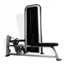 REMO LOW E12 for fitness centers remo-low-e12-for-fitness-centers