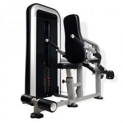 Chest and triceps E32 for fitness centers chest-and-triceps-e32-for-fitness-centers