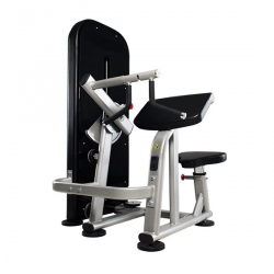 BICEPS & TRICEPS V30 for fitness centers biceps--triceps-v30-for-fitness-centers