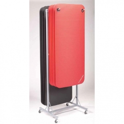 Mats rack without mats-  Inventory for fitness mats-rack-without-mats---inventory-for-fitness