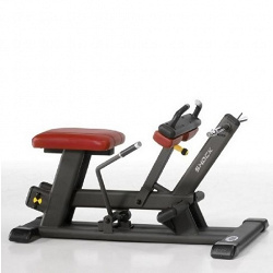 Discs. Seated calf AVTJ3061