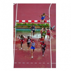Steeplechase water jump barrier with surface mount. World Athletics certificate. AVDM1079